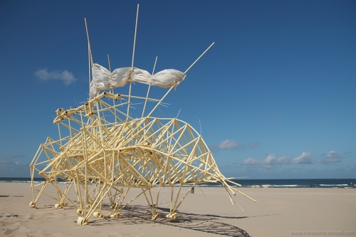 strandbeest theo jansen kinetic sculptor beach animal
